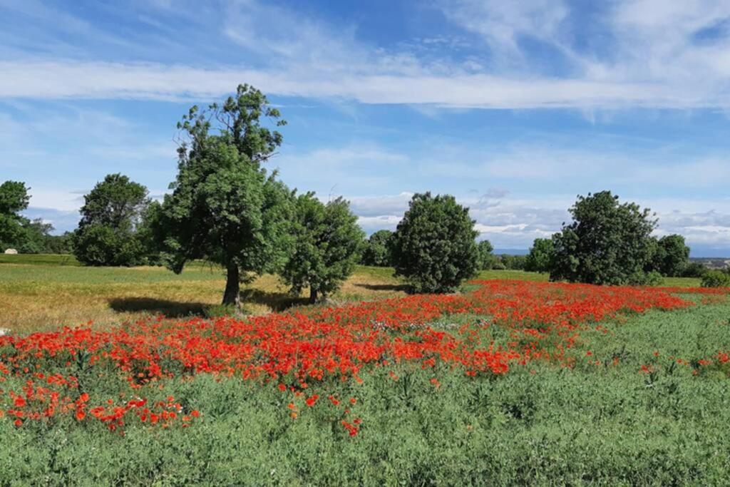 Cal Bello Casa Rural Lleida Eksteriør bilde