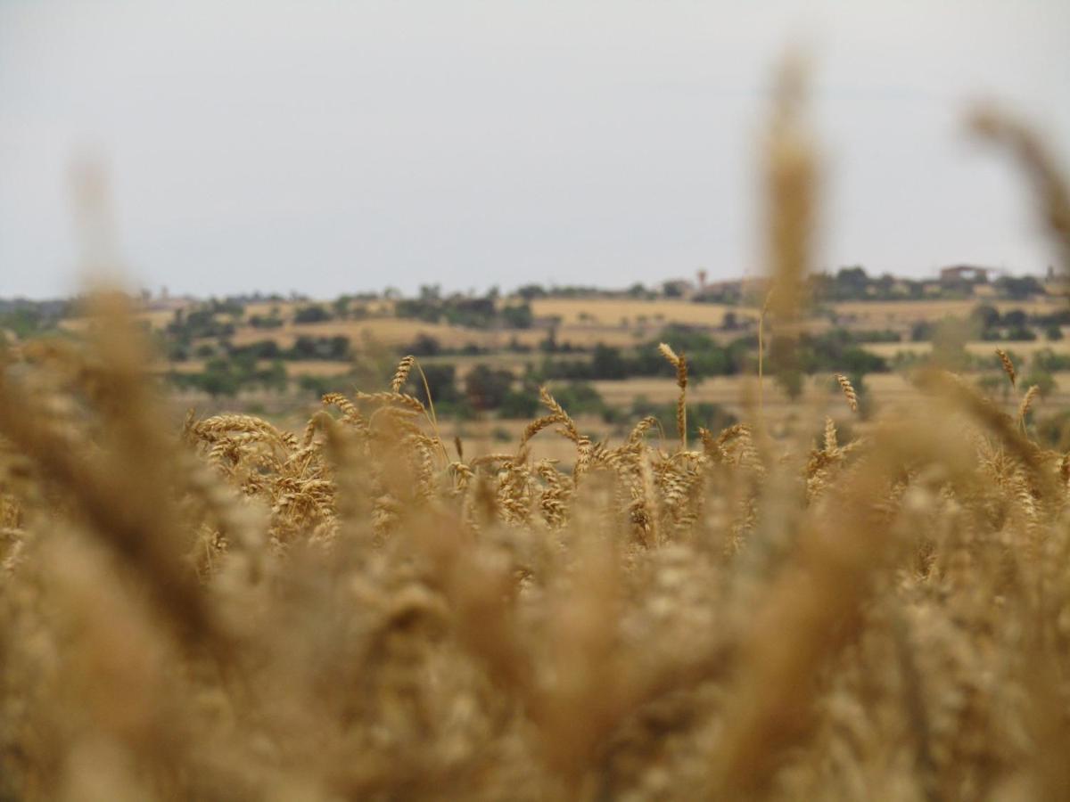 Cal Bello Casa Rural Lleida Eksteriør bilde